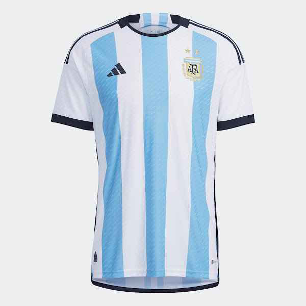 Argentina 2022 World Cup Home Jersey ( Size - XL )